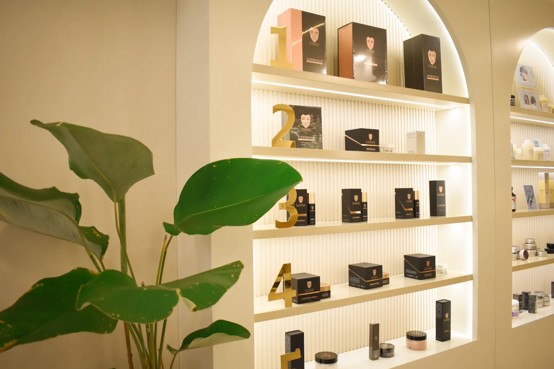 Reverie Clinic Interior - Premium Facilities